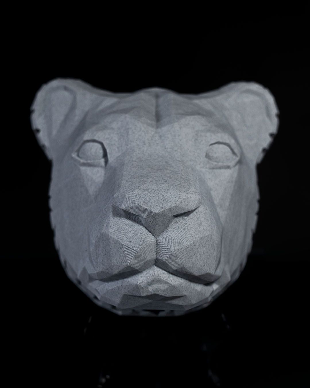 Wandleuchte Aslan Elegant Applikation (20 CM HOCH)