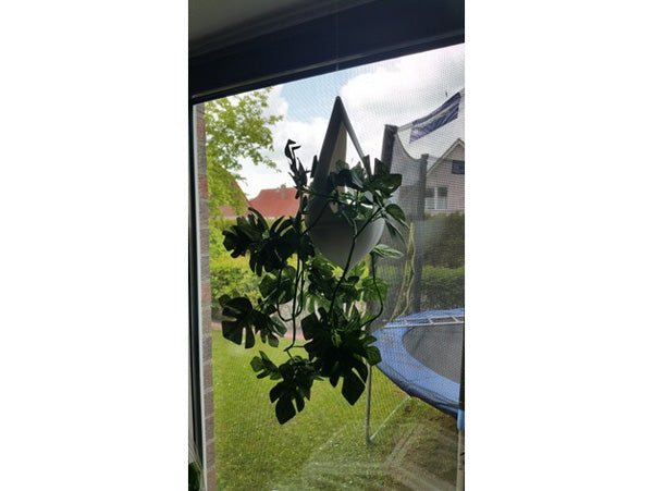 Grüner Kegel Hängepflanzentopf 8CM