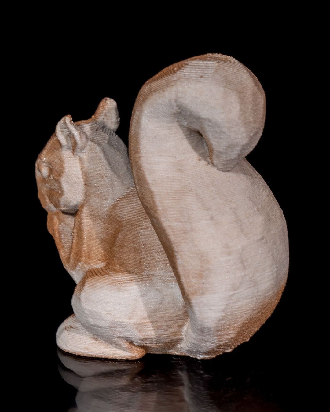Eichhörnchen-Familie Schlüsselhaken Baum