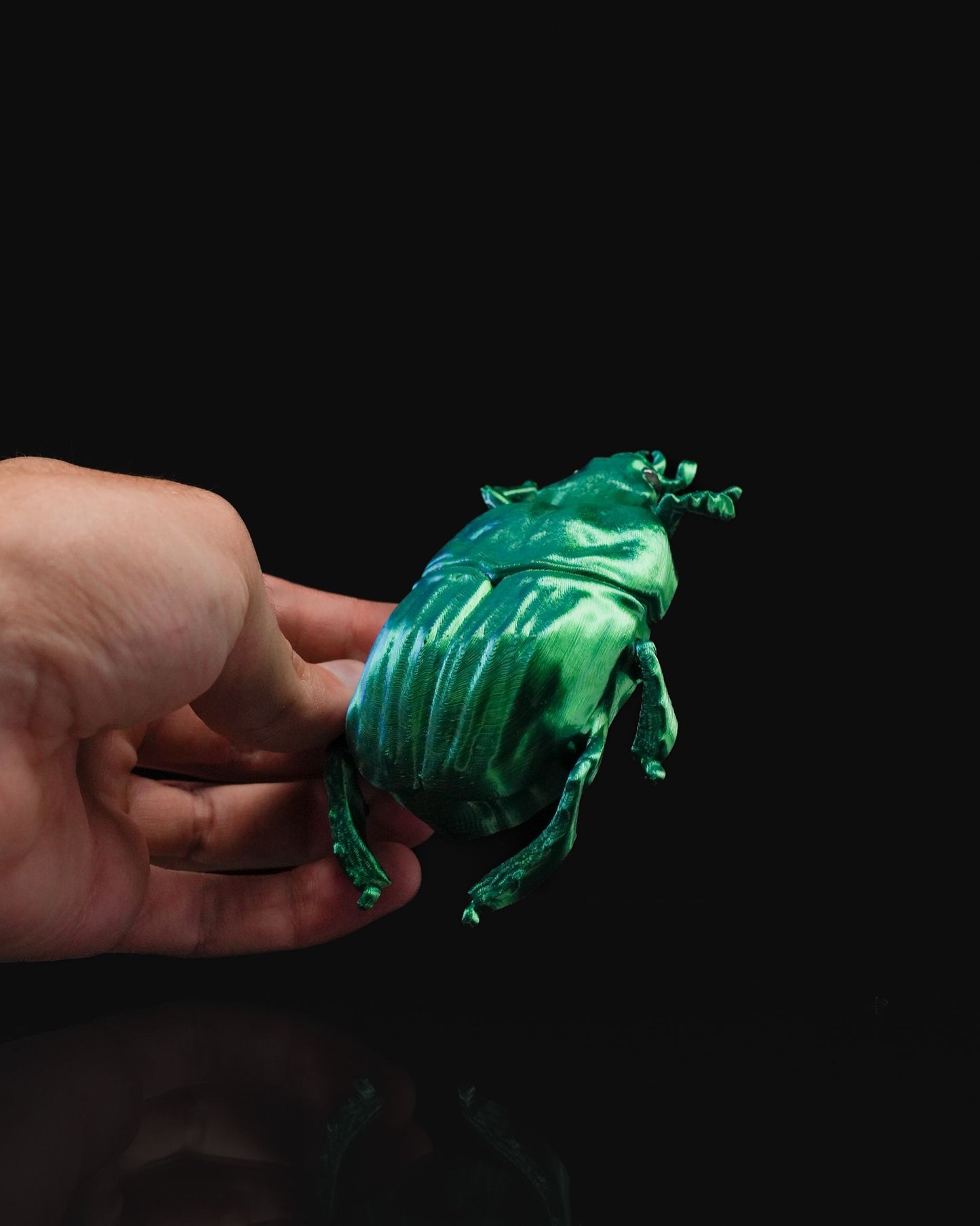 Ein Käferleben Skarabäus-Käfer-Wanddekoration 15CM
