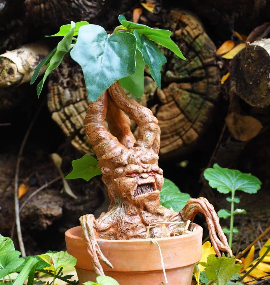 Alraune Figur Harry Potter