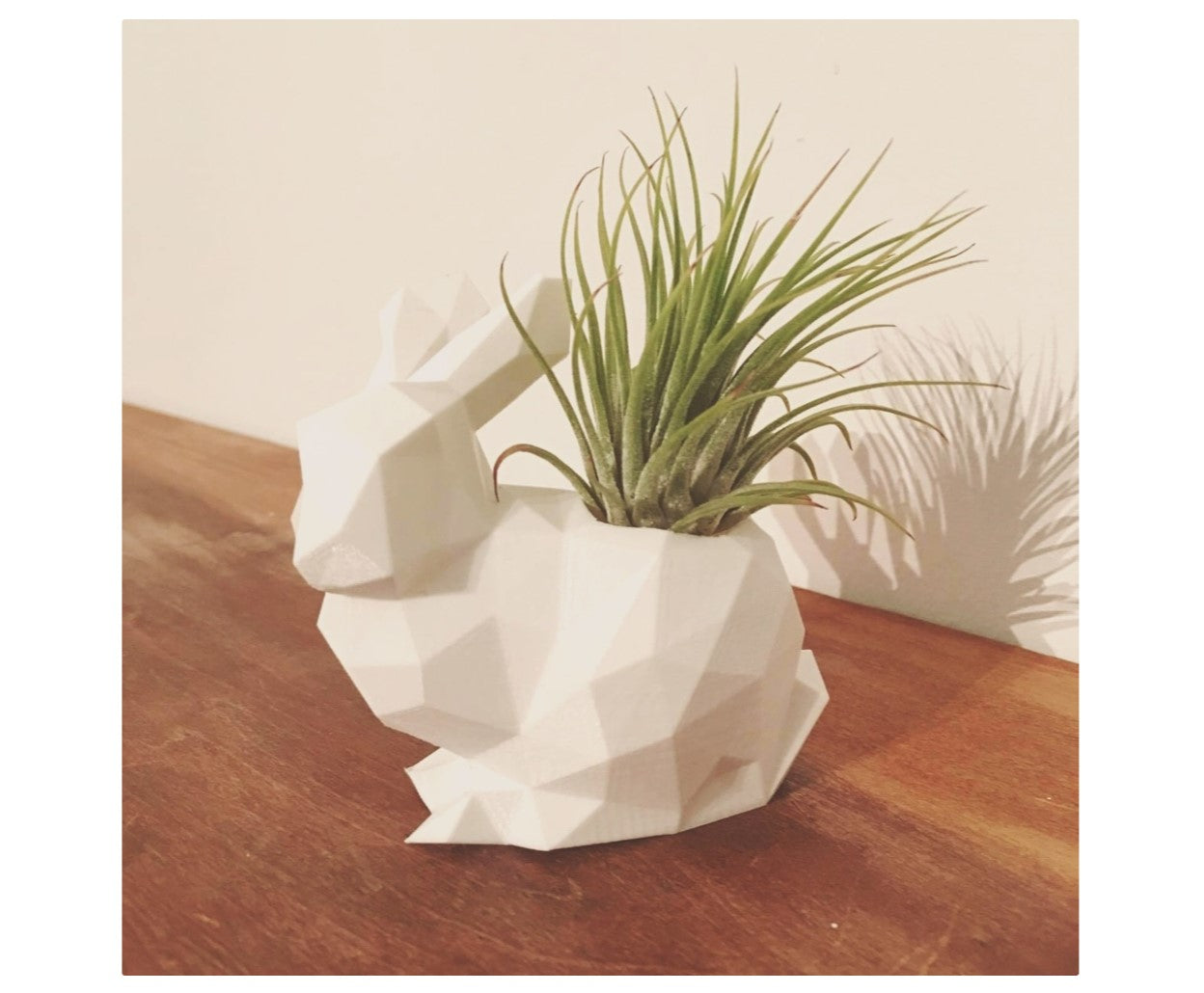 Polygonaler Hasentopf