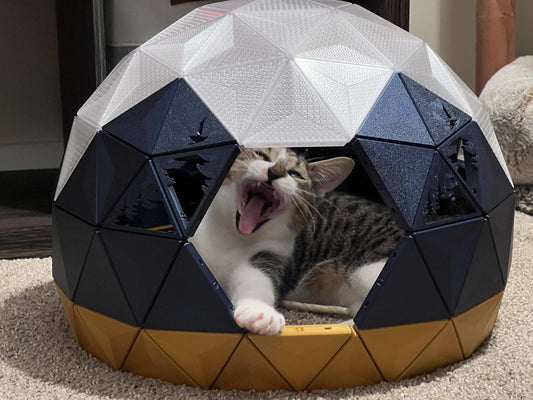 Elegant Modern Kedi Evi
