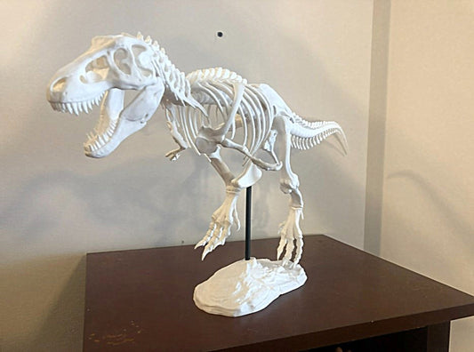 T-Rex Realistisches Skelett Deko Groß