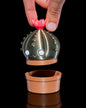 Wüstenblumen Kaktus Gewürzmühle Tabakmühle Grinder 9CM
