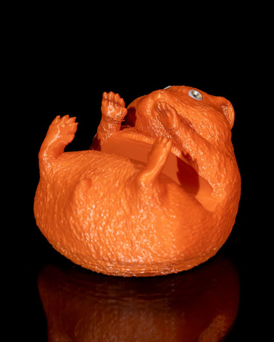 Hamster Telefon Standı Fare Telefon Tutacağı 11CM