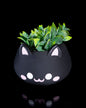 Anime Katze Vase Katze Desktop Dekoration Objekt