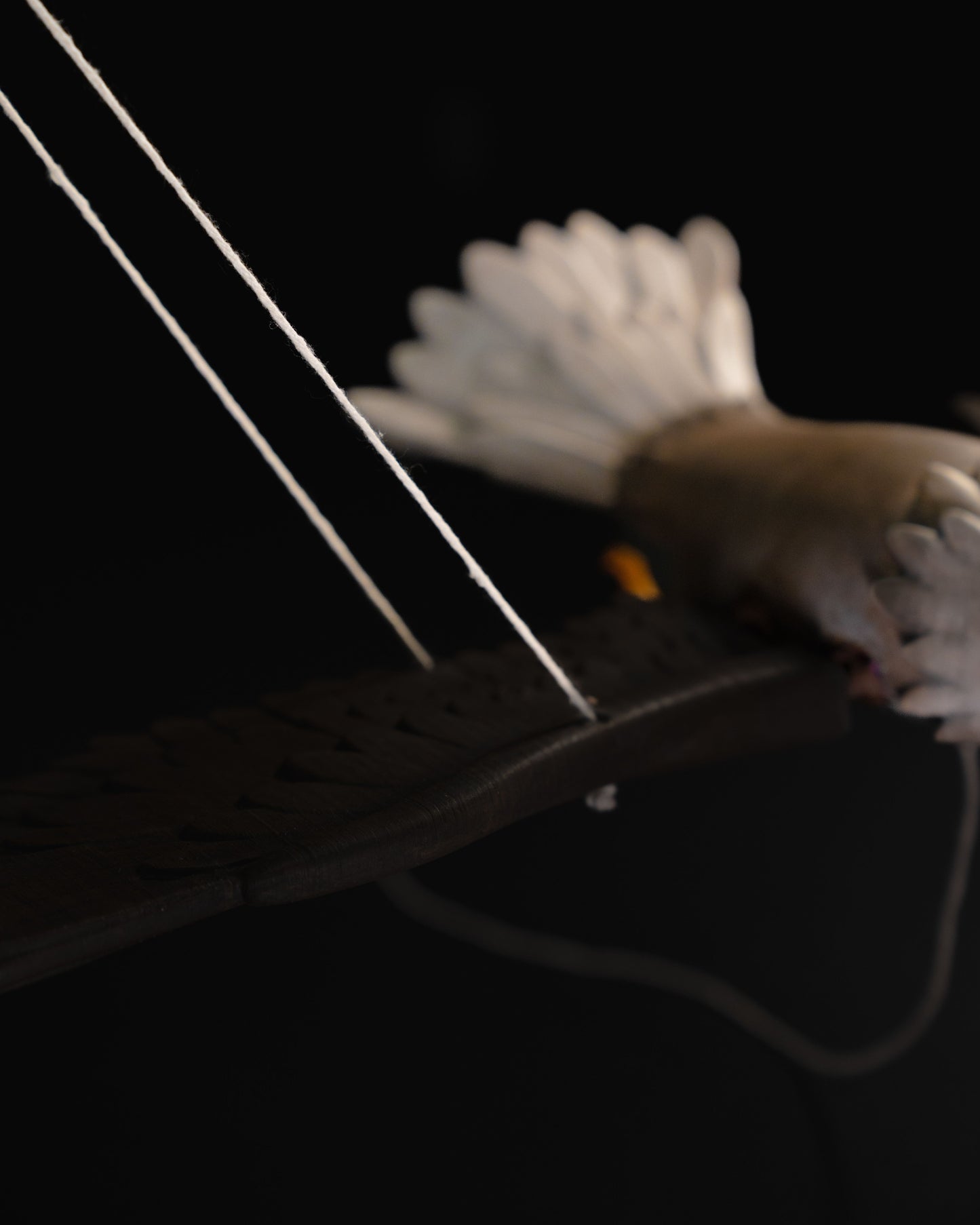 Adler mit Flügelschlag Spielzeug-Handpuppe