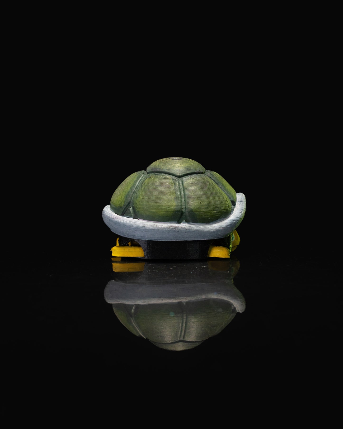 Schildkröte Bewegliches Spielzeug