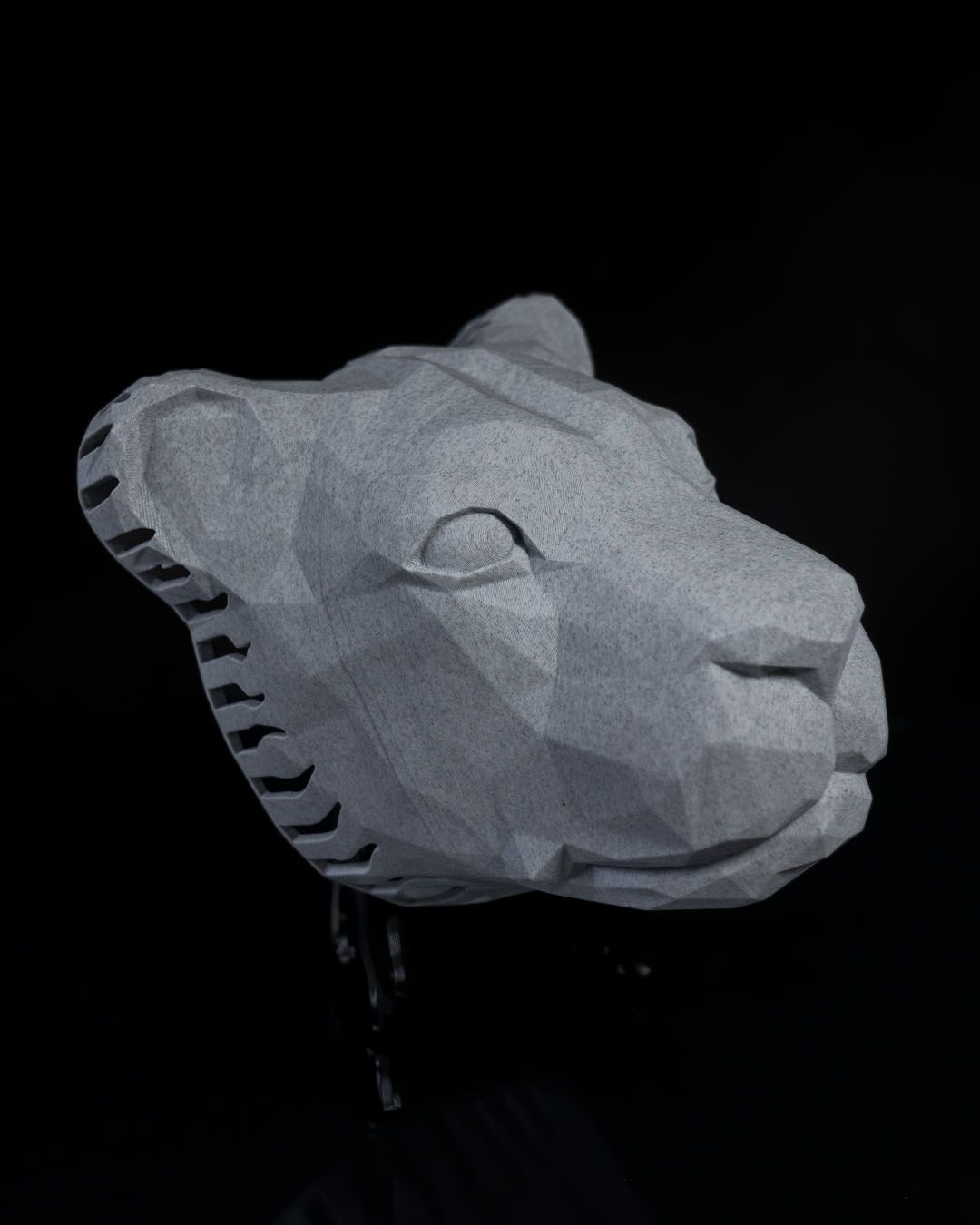 Wandleuchte Aslan Elegant Applikation (20 CM HOCH)