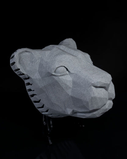 Wandleuchte Aslan Elegant Applikation (20 CM HOCH)