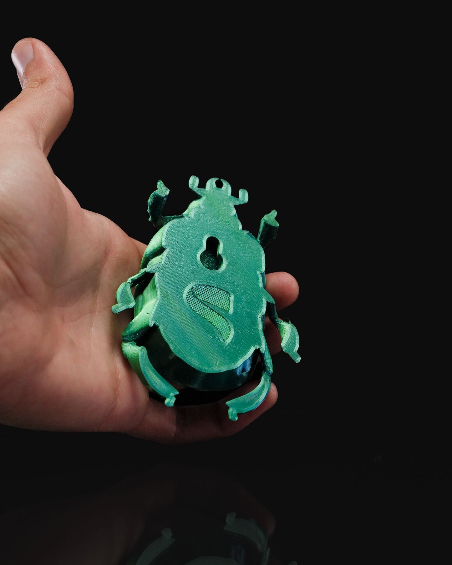 Ein Käferleben Skarabäus-Käfer-Wanddekoration 15CM