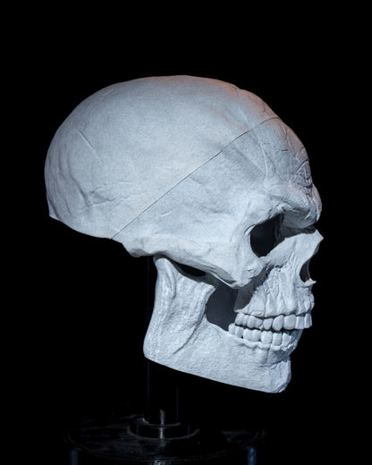 Halloween Totenkopf Totenschädel Riesenmaske 34CM