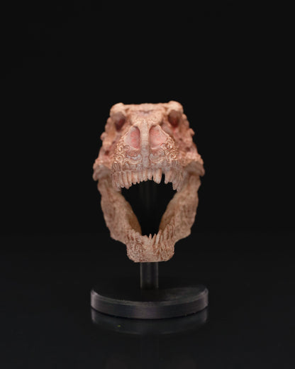 Jurassic Park T-Rex Schädel Dinosaurier Schädel Desktop Dekorative Objekt Groß