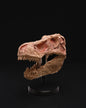 Jurassic Park T-Rex Schädel Dinosaurier Schädel Desktop Dekorative Objekt Groß