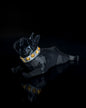 Dennis Tasmalı Französische Bulldogge Dekoration 14CM