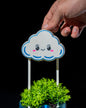 Wolkenpflanzen-Bewässerer Wolkenblumen-Gießkanne 15CM
