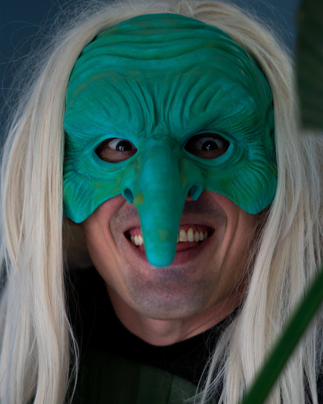 Halloween tragbare Hexenmaske Halloween Maske Halb-Hexenmaske