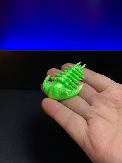 Gliederfüßer Spielzeug Schlüsselanhänger Trilobiten Spielzeug Naturwissenschaftlicher Unterricht Spielzeug Biologie
