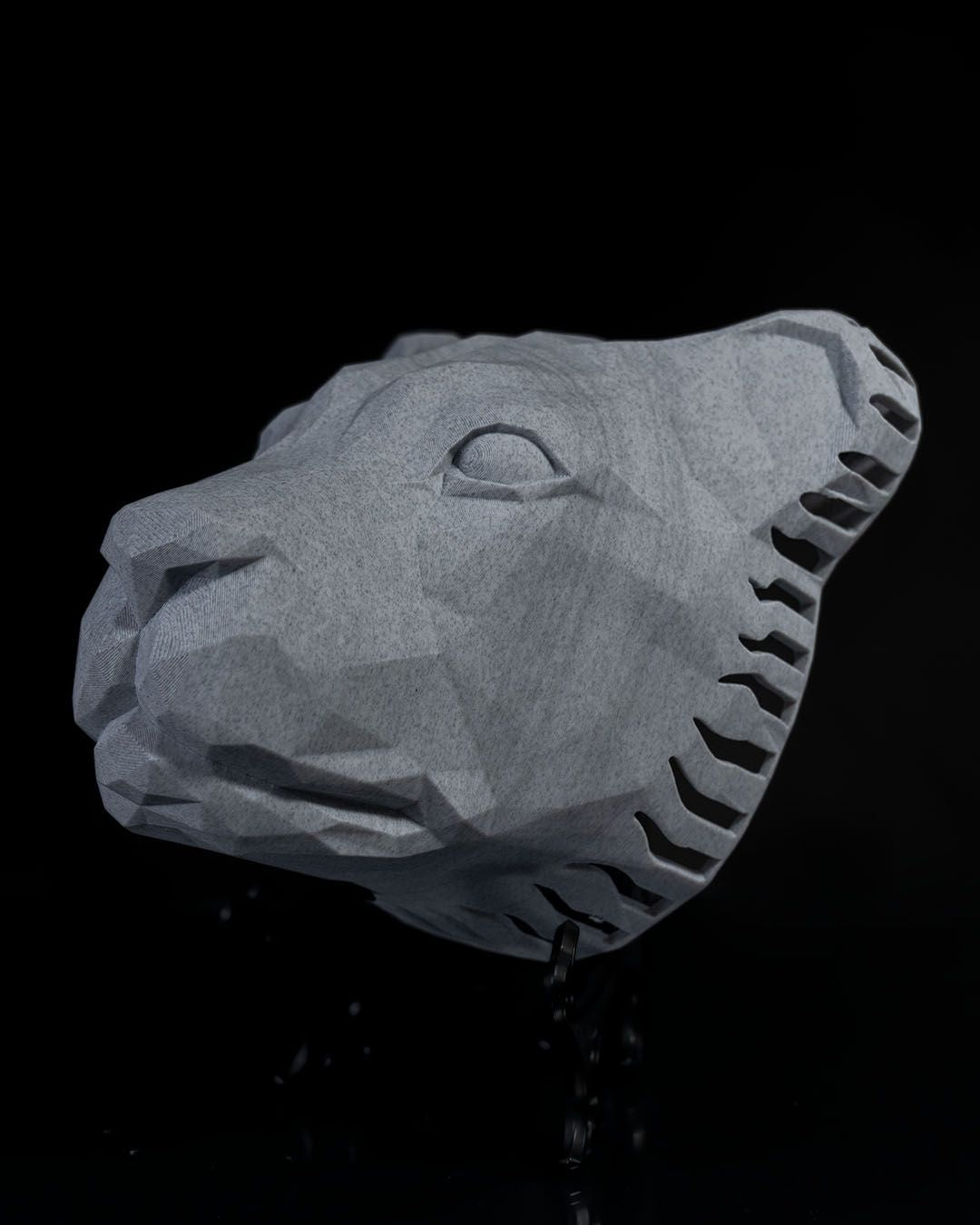 Wandleuchte Aslan Elegant Applikation (20 CM HOCH)
