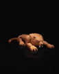Ice Age Säbelzahntiger Bewegliches Spielzeug