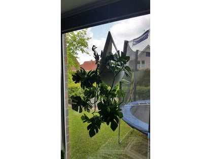 Grüner Kegel Hängepflanzentopf 8CM