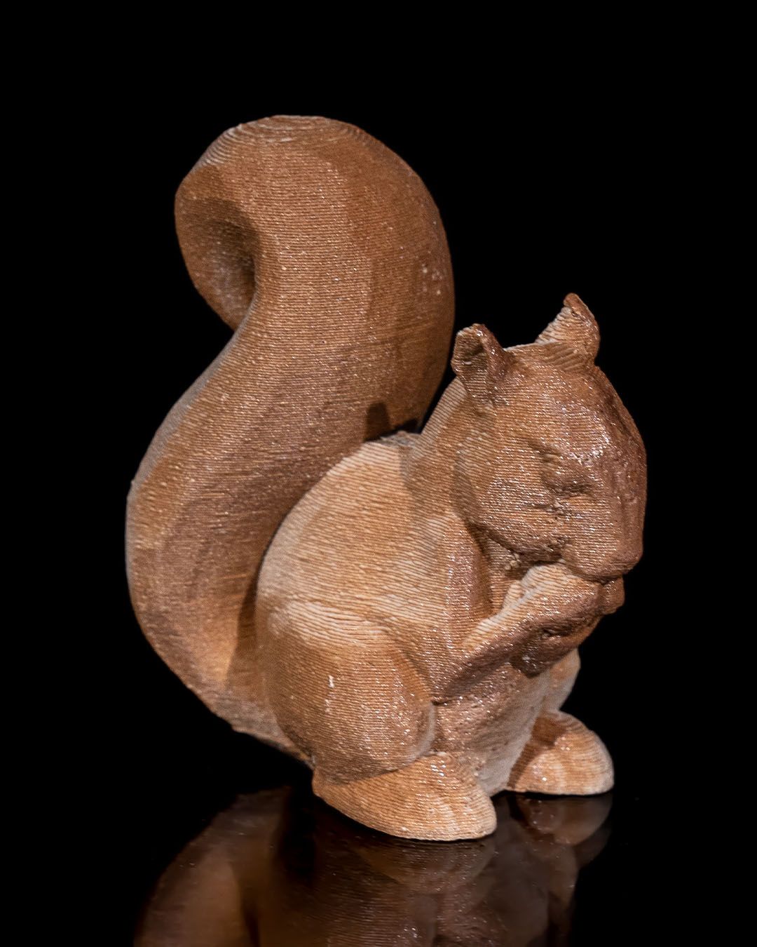 Eichhörnchen-Familie Schlüsselhaken Baum
