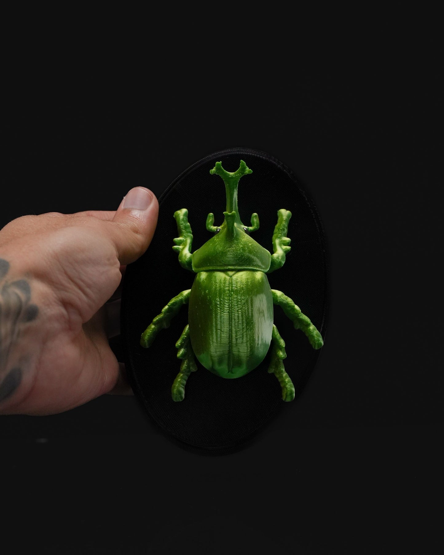 Ein Käferleben Nashornkäfer Wanddeko 15CM