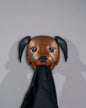 Coole Hundegarderobe Hundebewegliche Wandhaken