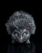 Stacheliger Igel Spike Spielzeug 13CM