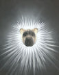 Wandleuchte Aslan Elegant Applikation (20 CM HOCH)