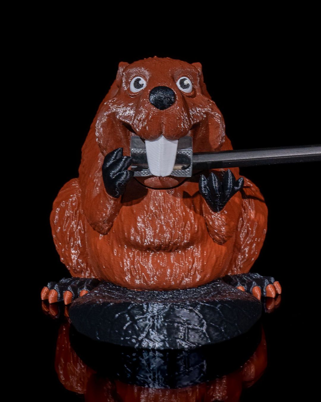 Eichhörnchen Bleistiftspitzer Halterung Eichhörnchen Spitzer Halterung 12CM