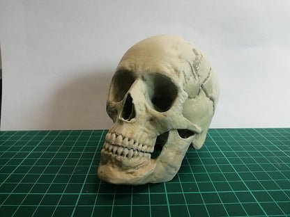 Menschlicher Totenkopf Figur 15 cm