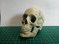 Menschlicher Totenkopf Figur 15 cm