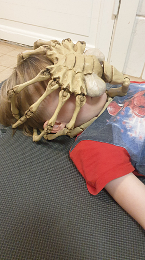 Alien Agisis Facehugger Bemalte Figur (Echtgröße)