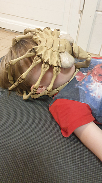 Alien Agisis Facehugger Bemalte Figur (Echtgröße)