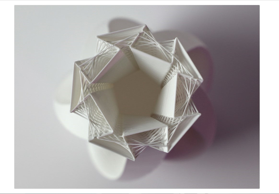 Verdrehte Moderne Vase