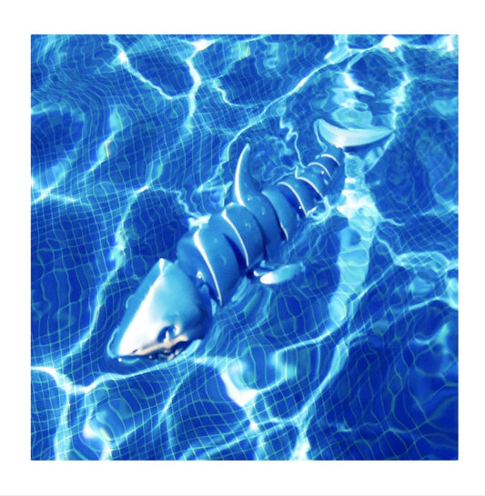 Moving Shark Toy Large Size