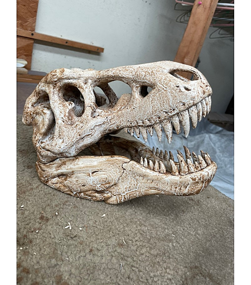 T-Rex-Schädelfigur 20 cm
