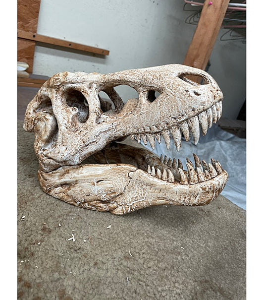 T-rex Kafatası Figür 20 cm