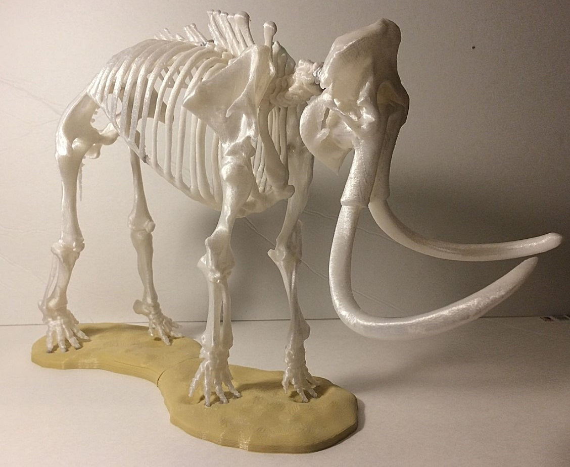 Mammutskelett-Skulptur 20 cm