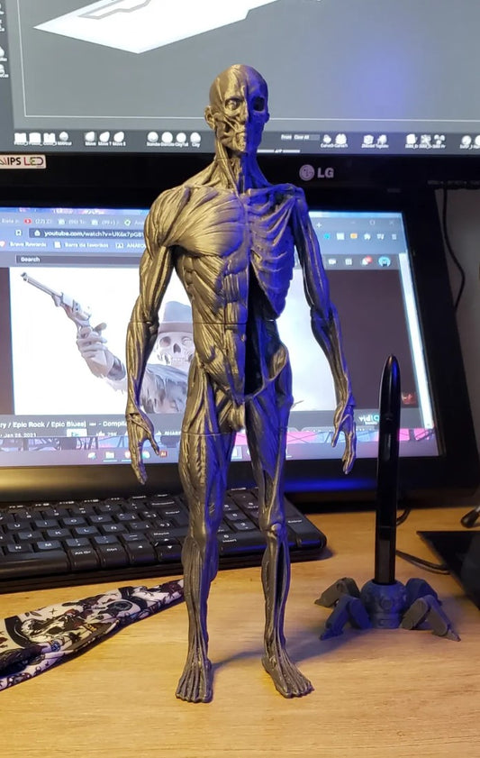İnsan Anatomisi Biblo