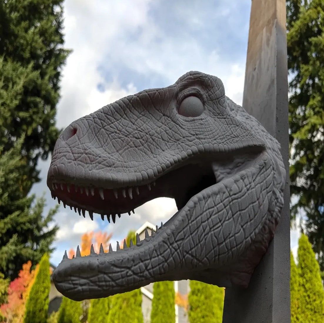 Dinosaurier-Raptorenkopf-Wandbüste, riesige Größe