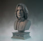 Severus Snape Halbblutprinz Harry Potter Figur Büste 15 cm (Grau)