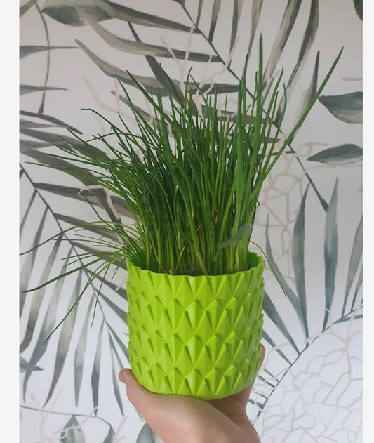 Blumentopf & Übertopf Groß (Kunststoff 20 cm Durchmesser 16 cm Höhe)