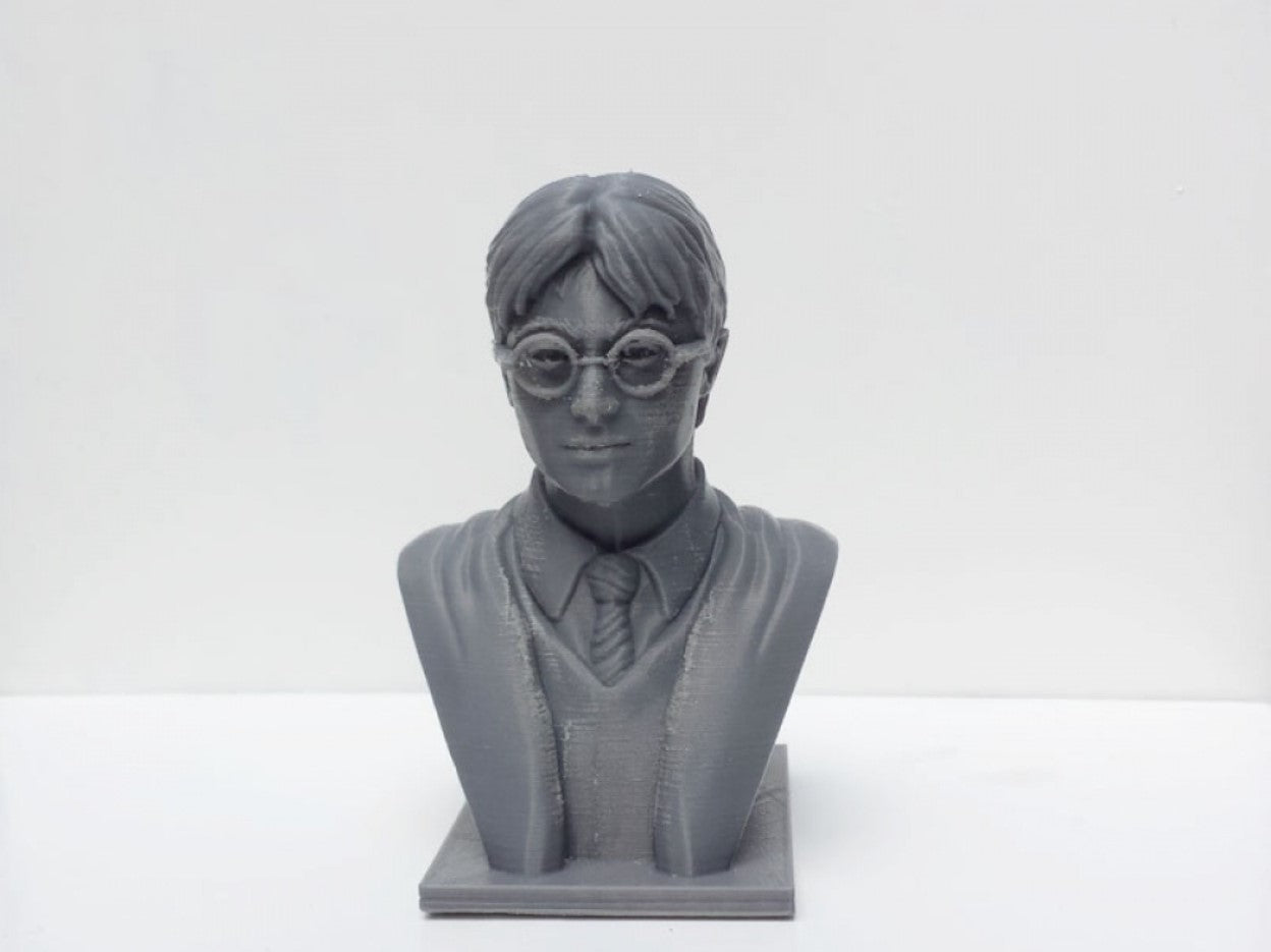 Harry Potter Bust 12 cm