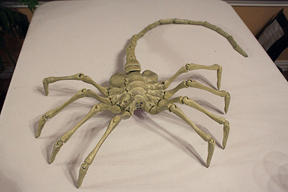 Alien Agisis Facehugger Bemalte Figur (Echtgröße)