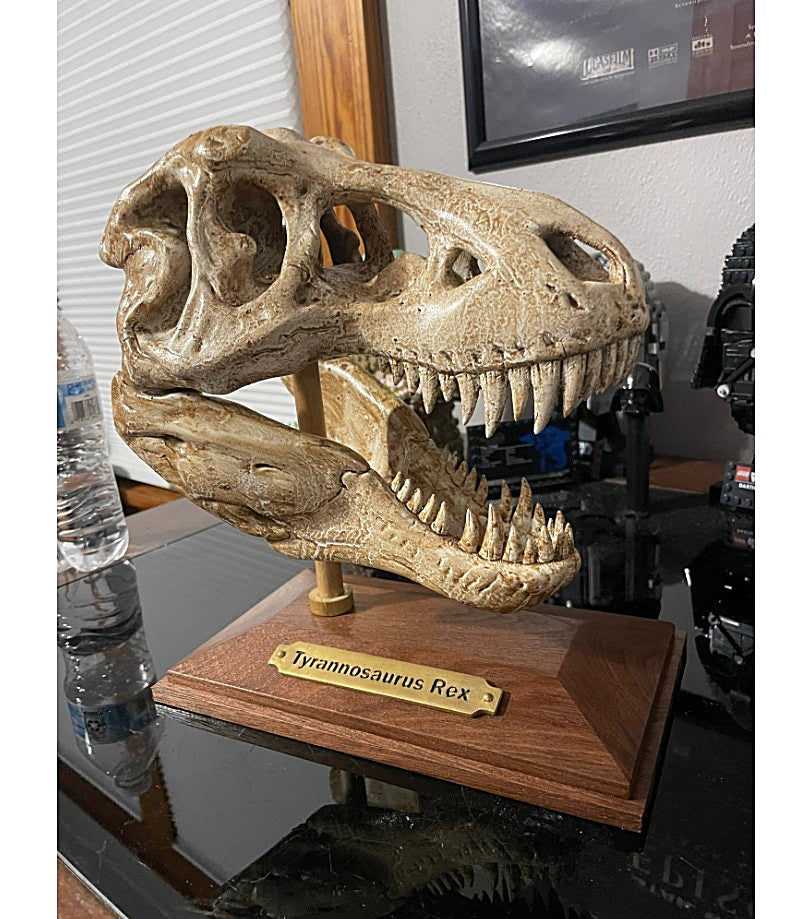 T-Rex-Schädelfigur 20 cm