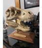 T-Rex-Schädelfigur 20 cm