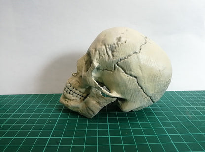 Menschlicher Totenkopf Figur 15 cm